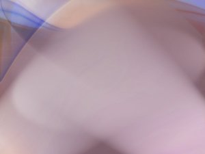 性能优化